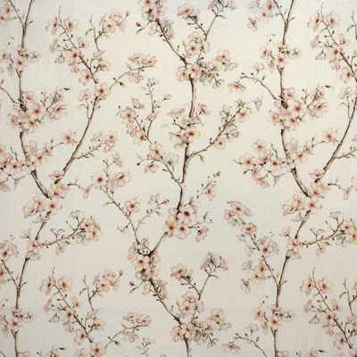 Kravet In Bloom Blush Fabric